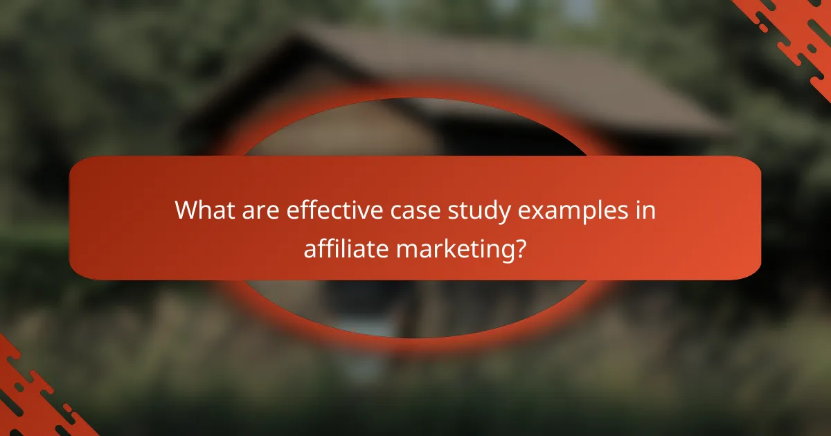 What are effective case study examples in affiliate marketing?