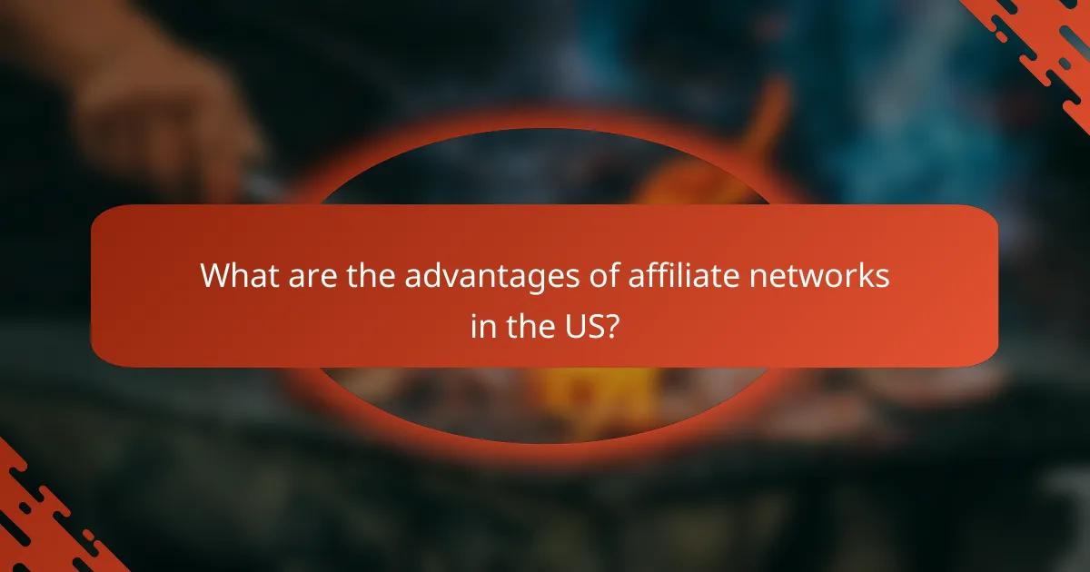 What are the advantages of affiliate networks in the US?